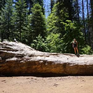 Meet your Posher, Meredith